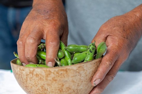San Pablo Huitzo, Oaxaca, Mexico, Farmers are part of a cooperative that uses agroecological