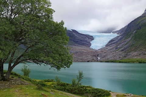 Glacier tongue and lake, Svartisen, Kystriksveien, FV 17, Nordland, Norway, Europe