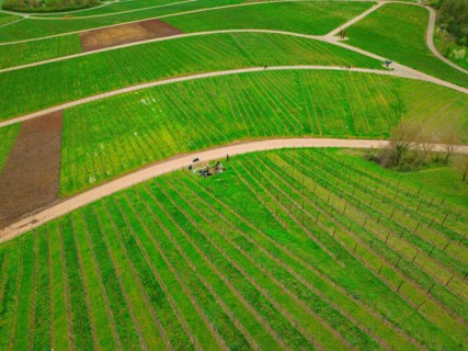 People at a crossroads in a vineyard with a view of a village in the background, Jesus Grace