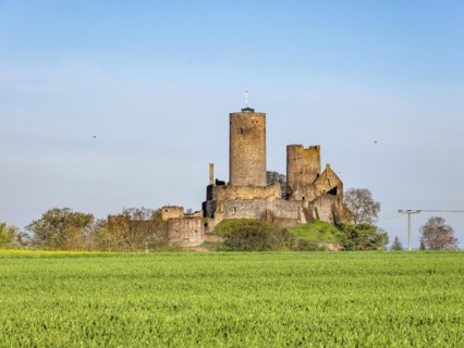 Muenzenberg Castle in the Wetterau in spring, Muenzenberg, Wetterau, Hesse, Germany, Europe