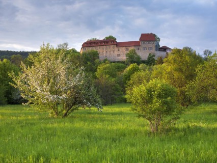 View of Creutzburg Castle in the last evening light, green meadow and blossoming fruit trees,