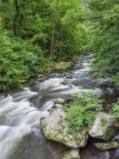 The River Bode with rapids and boulders in the Bode Valley between Thale and Treseburg, Harz