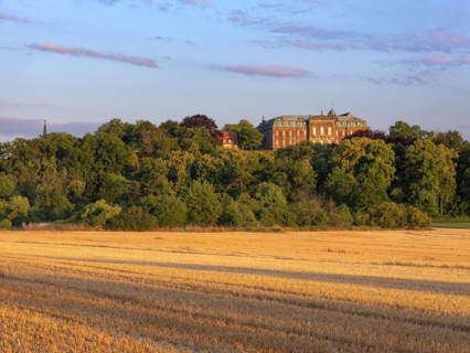 View over stubble field to Burgscheidungen Castle in the evening light, Unstruttal,