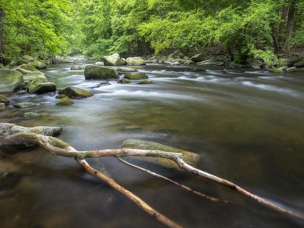 The River Bode with rapids and boulders in the Bode Valley between Thale and Treseburg, Harz