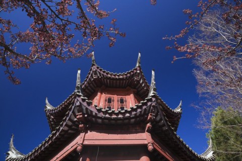 The Tower of Condensing Clouds pavilion framed by deciduous trees in traditional Chinese garden in