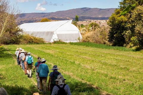 San Pablo Huitzo, Oaxaca, Mexico, Farmers are part of a cooperative that uses agroecological