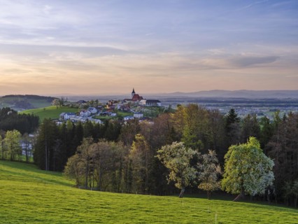 View of St. Michael am Bruckbach, sunset, parish church, blossoming pear trees, Mostviertel, Lower