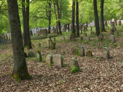 Old Jewish cemetery on the Judenhuegel near Kleinbardorf, municipality of Sulzfeld, Hassberge,