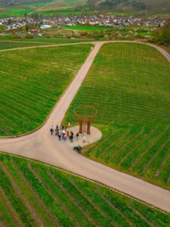 Aerial view of people at a circular viewpoint in a vineyard, Jesus Grace Chruch, Weitblickweg,