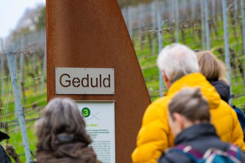 People reading at an information station with the title 'Patience' in a vineyard, Jesus Grace