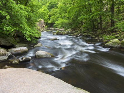 The River Bode with rapids and boulders in the Bode Valley between Thale and Treseburg, Harz