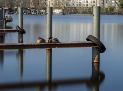 Long exposure, sleeping ducks on a jetty, Berlin, Germany, Europe