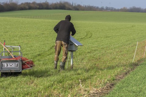 Shepherd attaches a solar panel to the electric fence of the pasture, Mecklenburg-Western