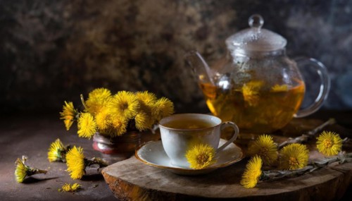 Cosy arrangement with smoky coltsfoot tea and coltsfoot on a rustic table, medicinal plant
