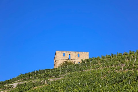 Yburg, Y-Burg, Yberg, Eibenburg, ruins of a hillside castle, historic building, built in the early