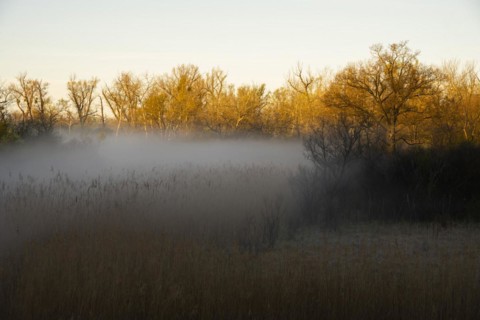 Morning atmosphere, fog, Lower Austria