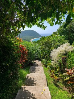 A beach in the Caribbean on the Atlantic coast in Deshaies, Guadeloupe, French Antilles, North