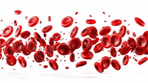 Dense cluster of red blood cells spread over a white surface, ai generated, ai generated, AI