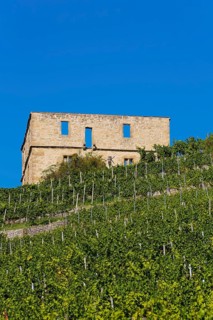 Yburg, Y-Burg, Yberg, Eibenburg, ruins of a hillside castle, historic building, built in the early