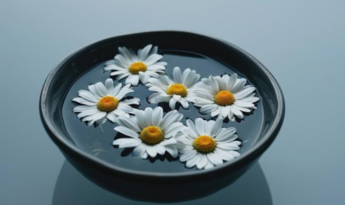 Daisies floating in a bowl of water, close up AI generated
