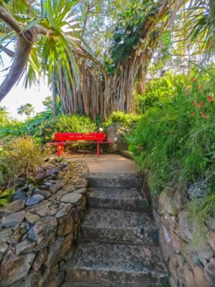 Jardin Botaniqu de Deshaies, botanical garden with flora and fauna in Guadeloupe, Caribbean, French