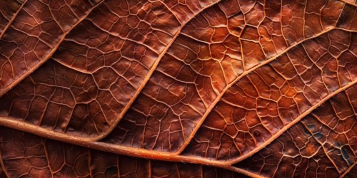 Close up of orange autumn leaf texture. KI generiert, generiert, AI generated