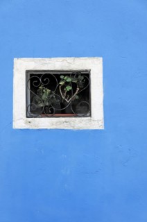 Colourful houses, Burano, Burano Island, Simple window with lattice and a plant in front of a blue