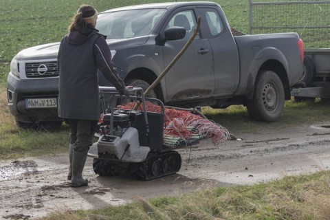 Young shepherdess brings remaining fences to the pickup truck, Mecklenburg-Vorpommern, Germany,