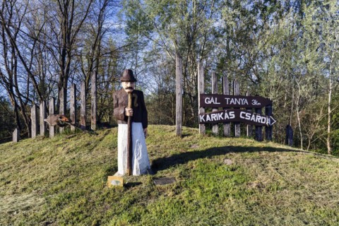 Sculpture made of wood, traditional shepherd, Bugac puszta, Kiskunsag National Park, Hungary,