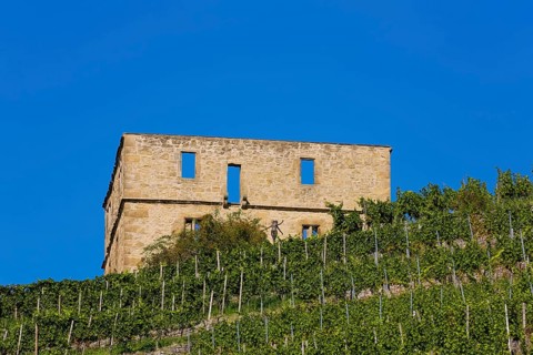 Yburg, Y-Burg, Yberg, Eibenburg, ruins of a hillside castle, historic building, built in the early