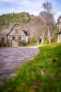 Half-timbered house at the end of a grassy path, quiet atmosphere, Calw, Black Forest, Germany,