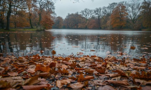 The lake covered of fallen leaves, nature background AI generated
