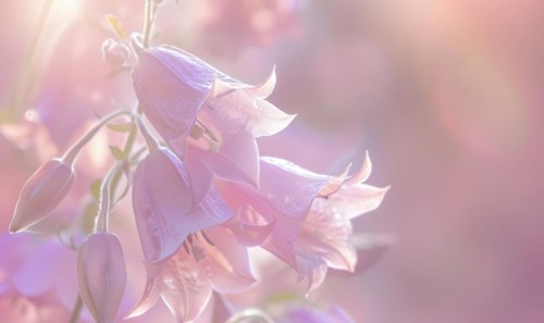 Close-up of a bellflower in soft light, closeup view, selective focus, spring background AI