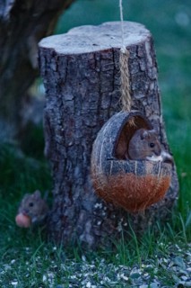 Forest mouse two mice holding food in hands in food bowl sitting on tree trunk looking from front