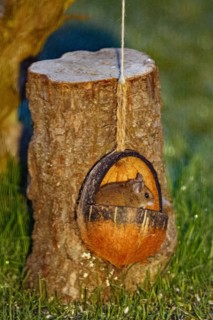 Wood mouse sitting in food bowl in front of tree trunk, looking right