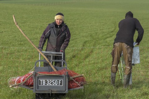 Shepherd and his daughter fence a new pasture with a solar panel for the electric fence,