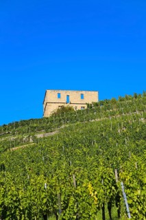 Yburg, Y-Burg, Yberg, Eibenburg, ruins of a hillside castle, historic building, built in the early