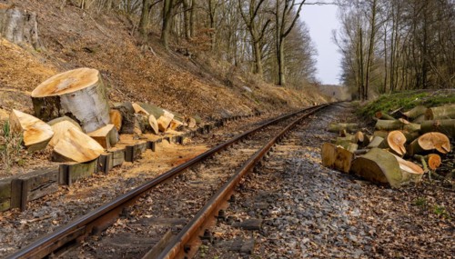 Narrow-gauge railway bed of the Raging Roland, Ruegen, Mecklenburg-Western Pomerania, Germany,