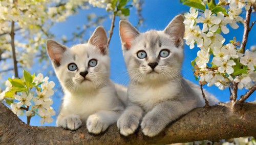 KI generated, animal, animals, mammal, mammals, cat, felidae (Felis catus), two kittens resting in