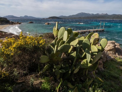 Jetty leading into the sea, Capriccioli beach, Costa Smeralda, Sardinia, Italy, Europe