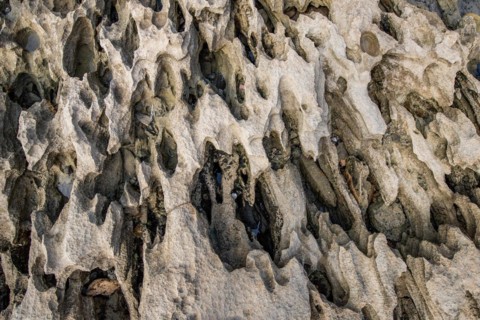 Gewaschener Stein aus Meerwasser am Strand, tolles Muster und Natur