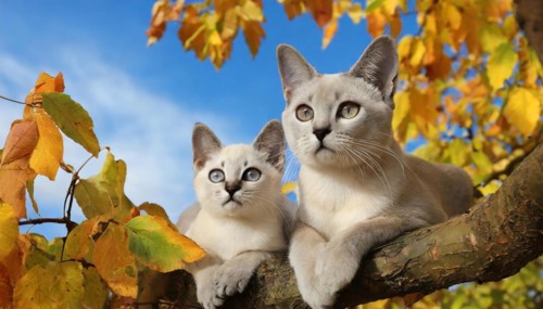 AI generated, animal, animals, mammal, mammals, cat, felidae (Felis catus), a cat and a kitten