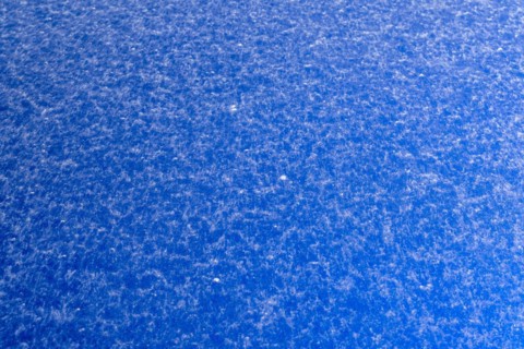 Sahara dust on a car, Braunschweig, Lower Saxony, Germany, Europe