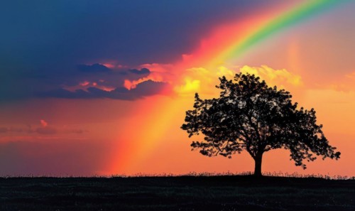 Colorful rainbow after spring rain, rainbow on dark cloudy sky AI generated