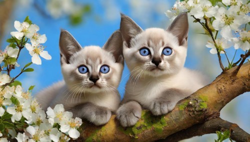 KI generated, animal, animals, mammal, mammals, cat, felidae (Felis catus), two kittens resting in