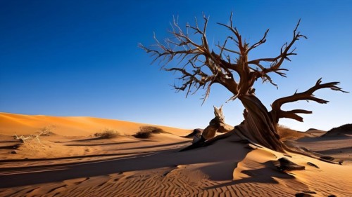 Saxaul tree branches stabilizing gobi desert sand dunes, AI generated
