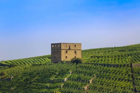 Yburg, Y-Burg, Yberg, Eibenburg, ruins of a hillside castle, historic building, built in the early
