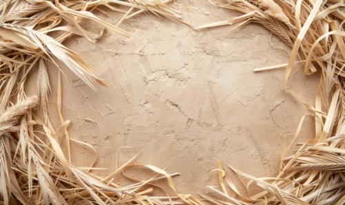 Delicate dry grass frame on minimalistic flat background, space for text AI generated