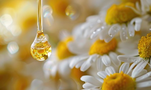 Chamomile essential oil droplets on chamomile flowers, nature beauty background AI generated