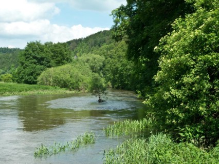 Ford of the Danube seepage point at high water level, Immendingen, Tuttlingen district,